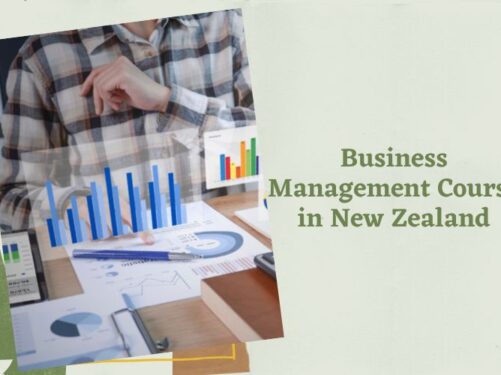 Business Management Degree NZ