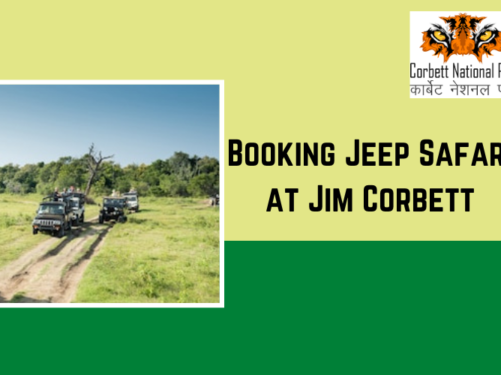 Jim Corbett National Park Charges