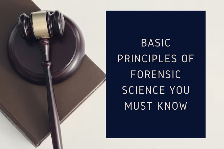 family court lawyers