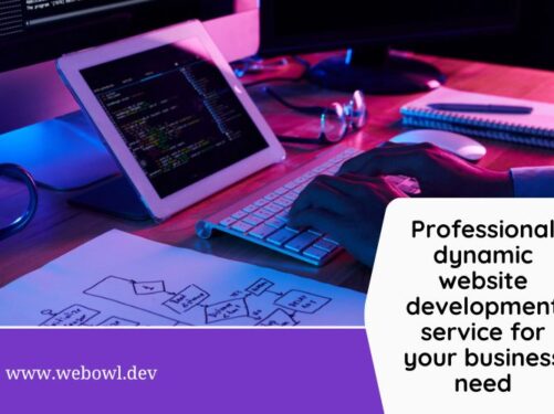 WordPress Web Development Company