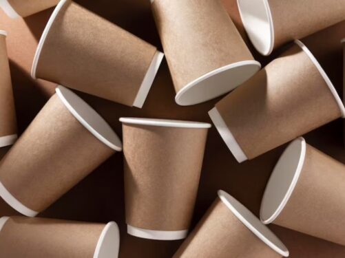 disposable foam cups manufacturers