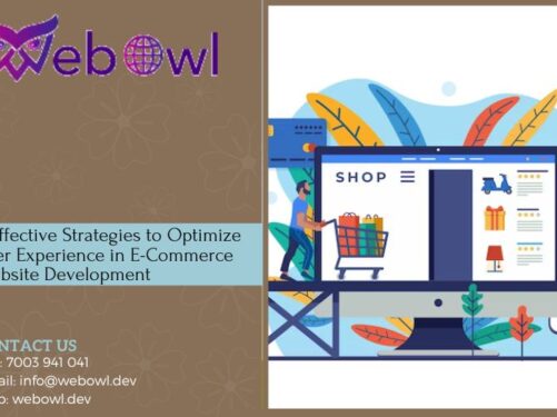 WordPress Website Development Company