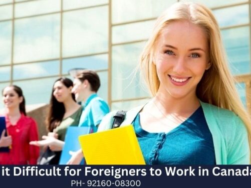 Immigration Consultants in Nabha