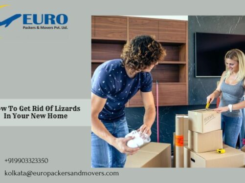 Packers and Movers