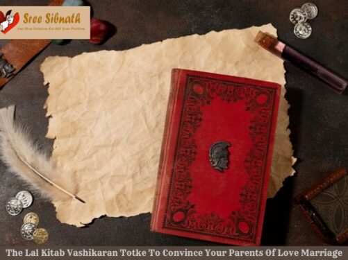 Love Problem Solution in India