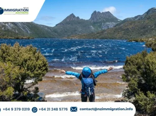 Comprehensive Guide to Successfully Applying for a New Zealand Visitor Visa