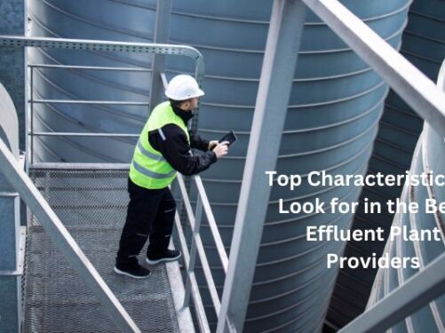 effluent wastewater treatment plant supplier