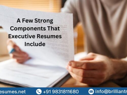 resume writer in delhi