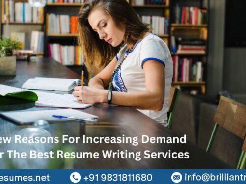 professional resume writing services in india
