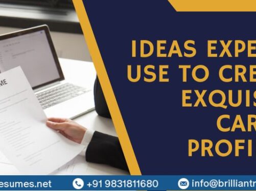 cv writing service india