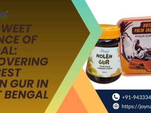 buy nolen gur online