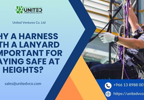 harness with lanyard