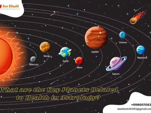 Top astrologer in Kolkata