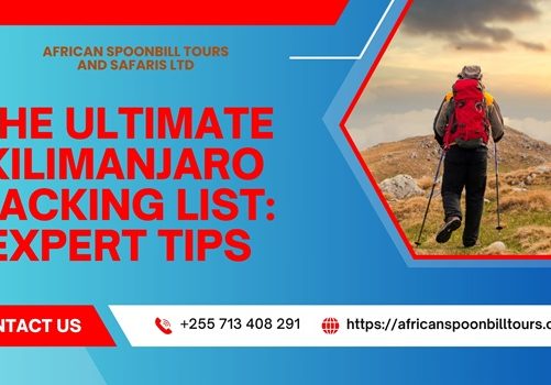 climb mount kilimanjaro