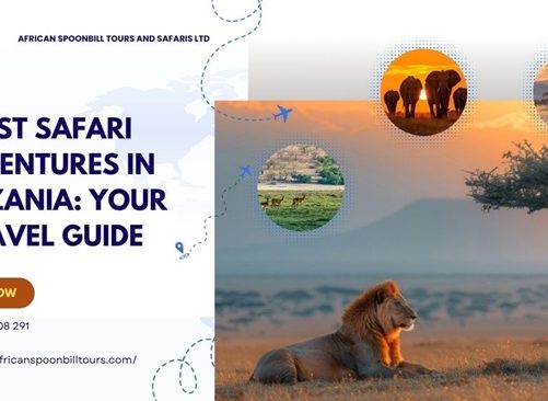 safari holidays tanzania