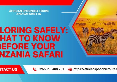 tanzania safari tours