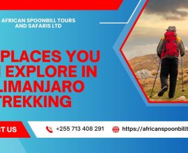 Kilimanjaro trekking packages
