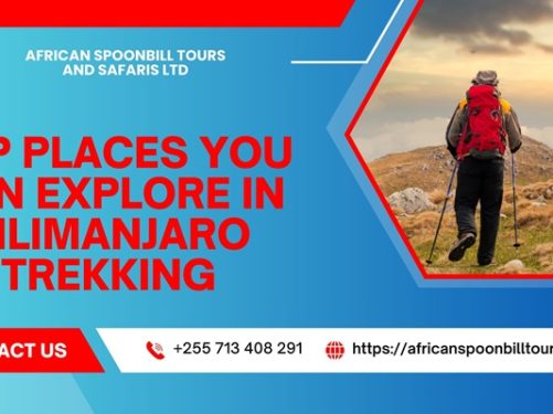 Kilimanjaro trekking packages