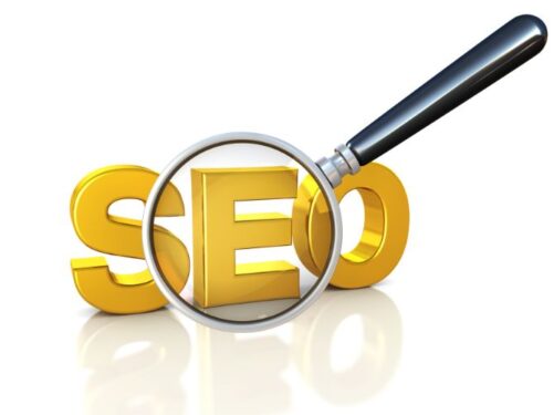 SEO Expert in India