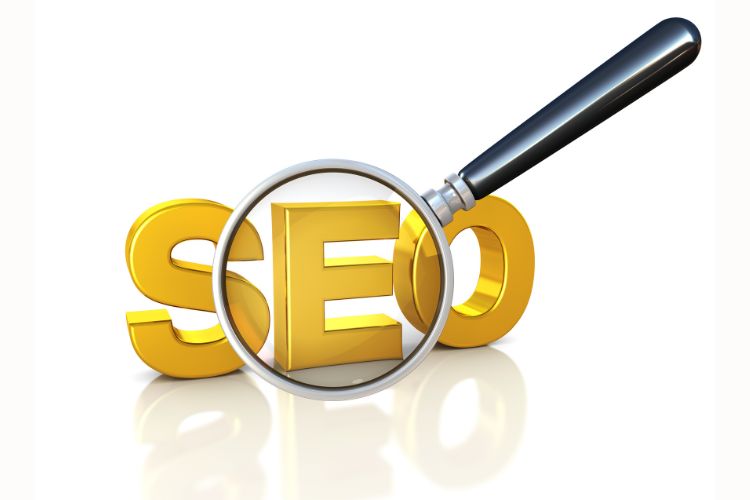 SEO Expert in India
