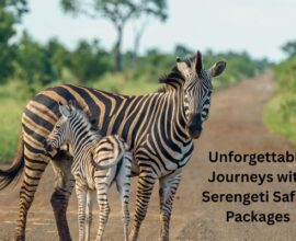 Serengeti holidays