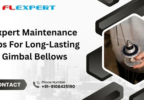 Gimbal Expansion Joints Manufacturer