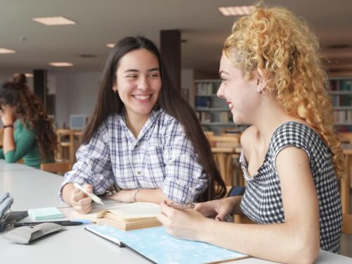 Study NZ opportunities for international students