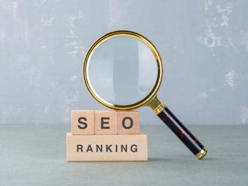 SEO Agency In Punjab