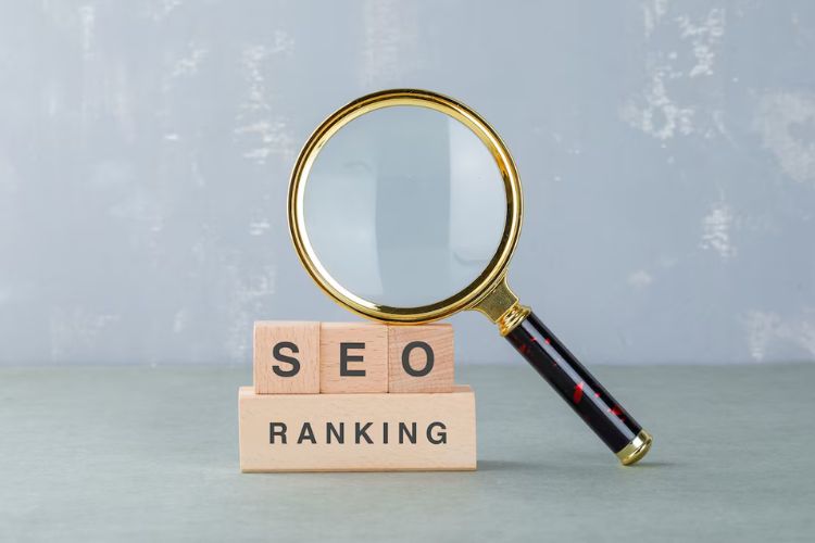 SEO Agency In Punjab