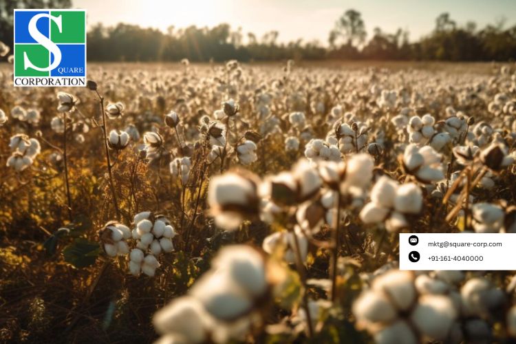 Recycled Polyester Fabric Manufacturers