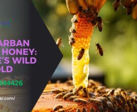 buy sundarban honey