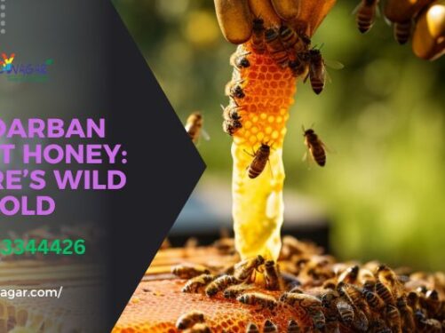 buy sundarban honey