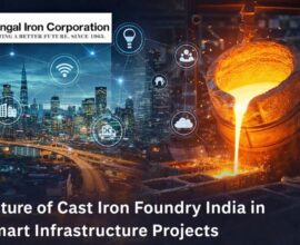 Cast Iron Chamber Cover price