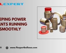 Bellows Expansion Joints