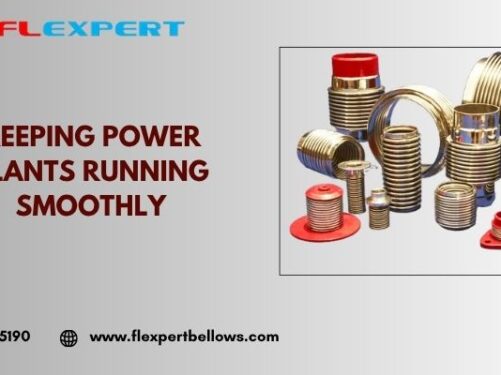 Bellows Expansion Joints