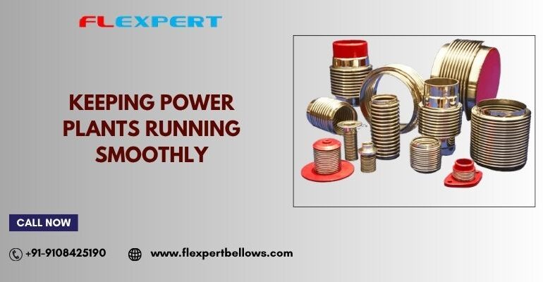 Bellows Expansion Joints
