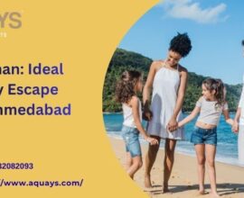 Andaman Tour Plan From Ahmedabad