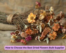 How to Choose the Best Dried Flowers Bulk Supplier