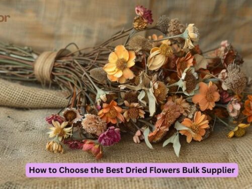How to Choose the Best Dried Flowers Bulk Supplier
