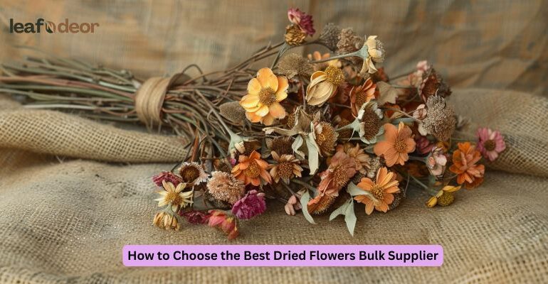 How to Choose the Best Dried Flowers Bulk Supplier