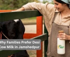 Why Families Prefer Desi Cow Milk in Jamshedpur
