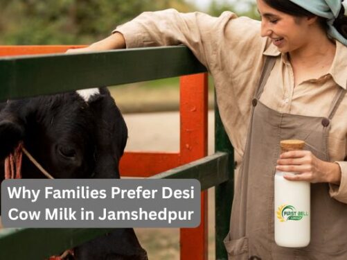 Why Families Prefer Desi Cow Milk in Jamshedpur