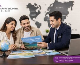Why Professional Travel Agencies Make Foreign Tours More Convenient