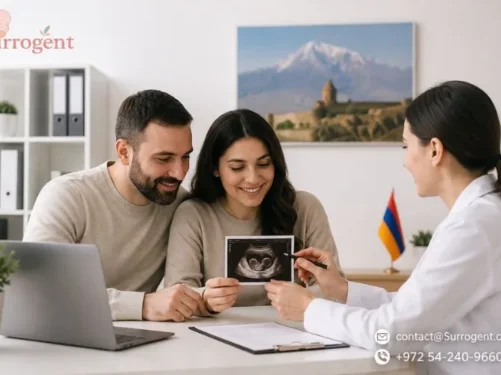 מדריך חודש אחר חודש למסע הפונדקאות שלך בארמניה