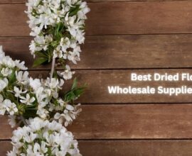 Best Dried Flowers Wholesale Suppliers & Prices