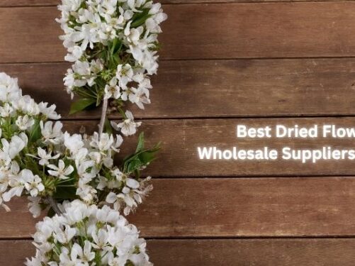 Best Dried Flowers Wholesale Suppliers & Prices