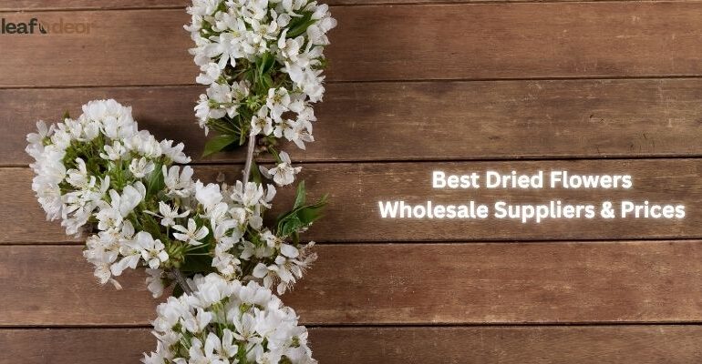 Best Dried Flowers Wholesale Suppliers & Prices