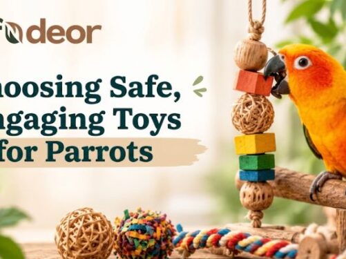 Choosing Safe, Engaging Toys for Parrots